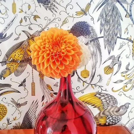 Privathotel Der Schwarze Herrgott No Tv فندق مبيت وإفطار 3*